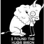 hugs-bison-electronica